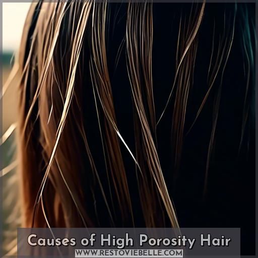 Causes of High Porosity Hair Causes of High Porosity Hair