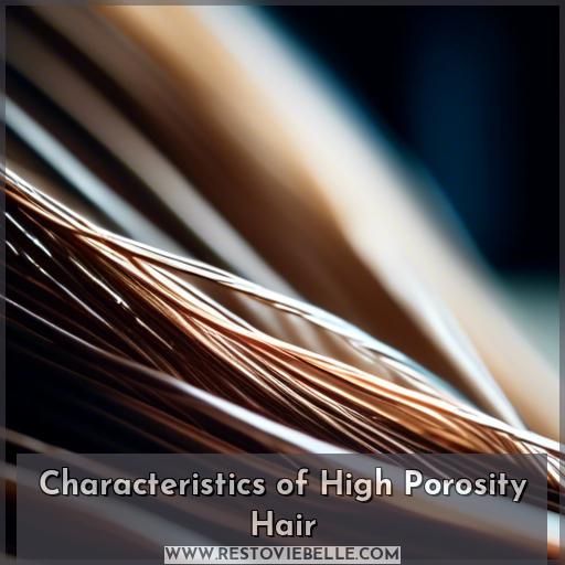 Characteristics of High Porosity Hair Characteristics of High Porosity Hair