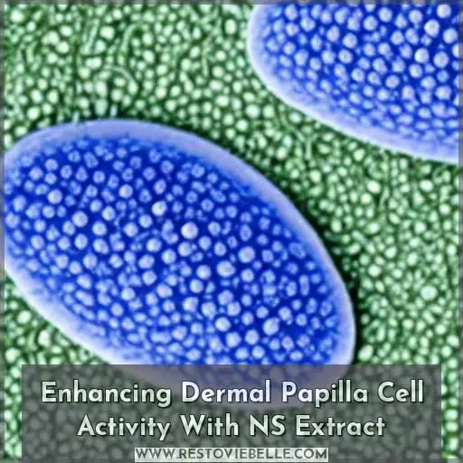 Enhancing Dermal Papilla Cell Activity With NS Extract