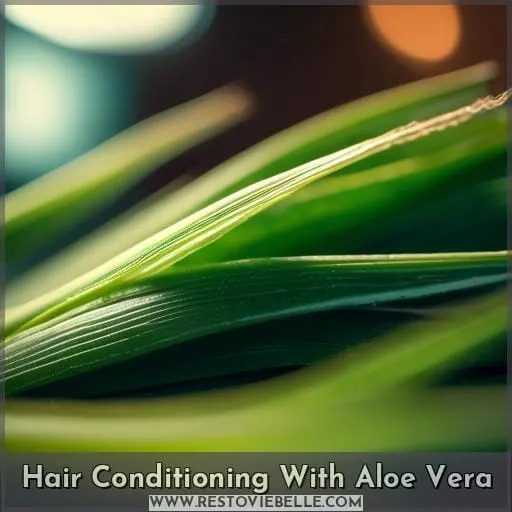 Hair Conditioning With Aloe Vera