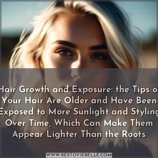 Hair Growth and Exposure: the Tips of Your Hair Are Older and Have Been Exposed to More Sunlight and Styling Over Time,