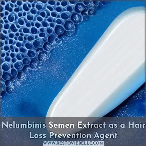 Nelumbinis Semen Extract as a Hair Loss Prevention Agent