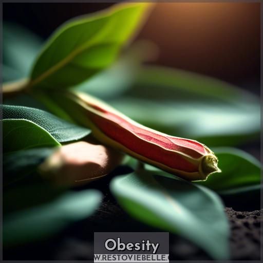 Obesity Obesity