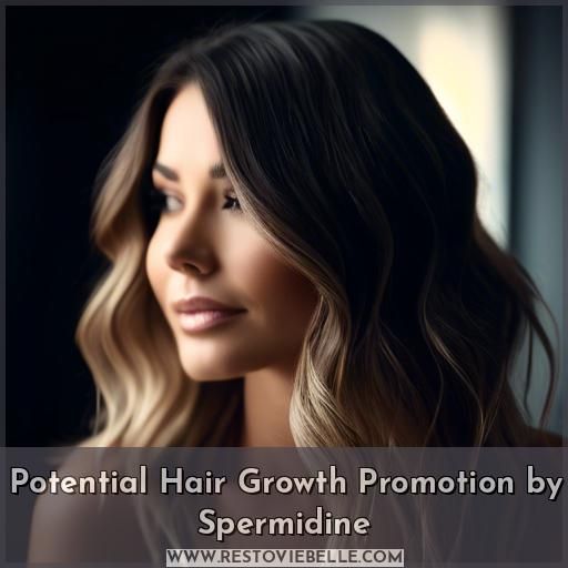 Potential Hair Growth Promotion by Spermidine