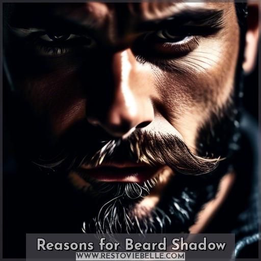 Reasons for Beard Shadow Reasons for Beard Shadow