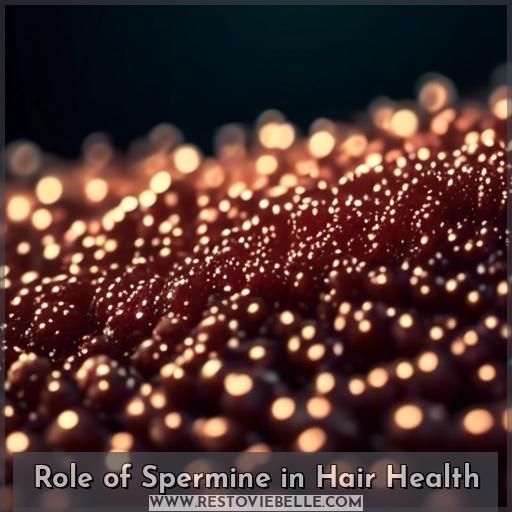 Role of Spermine in Hair Health