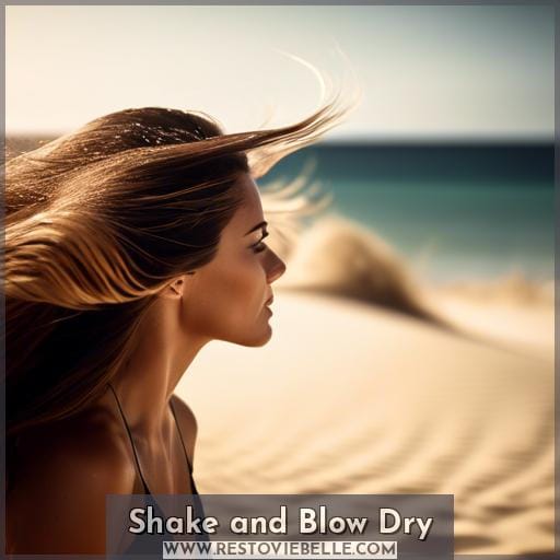 Shake and Blow Dry Shake and Blow Dry