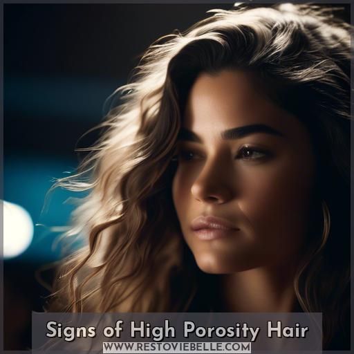 Signs of High Porosity Hair