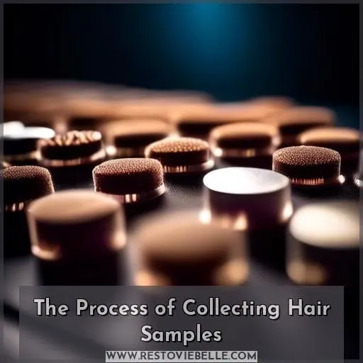 The Process of Collecting Hair Samples