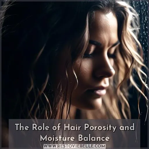 The Role of Hair Porosity and Moisture Balance