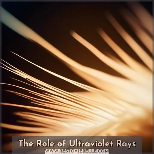 The Role of Ultraviolet Rays