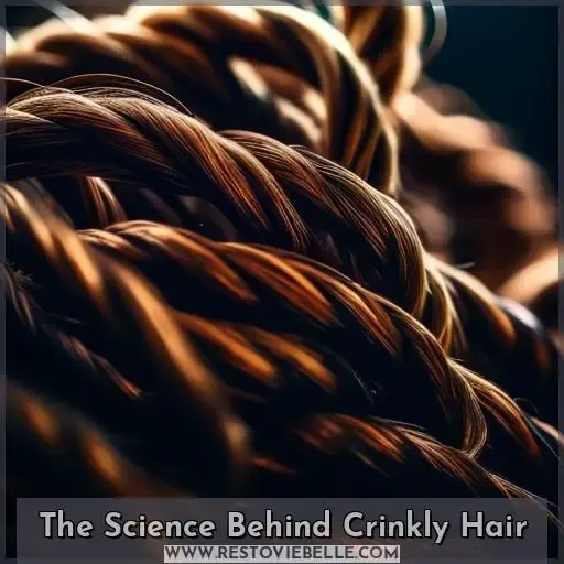 The Science Behind Crinkly Hair