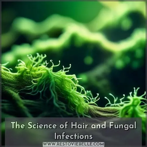 The Science of Hair and Fungal Infections