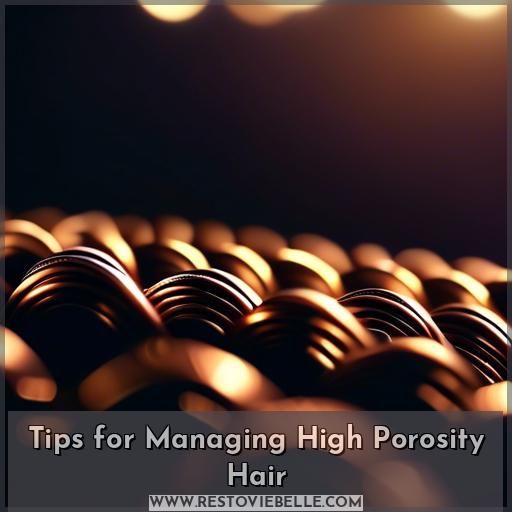 Tips for Managing High Porosity Hair