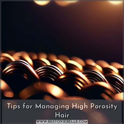 Tips for Managing High Porosity Hair Tips for Managing High Porosity Hair