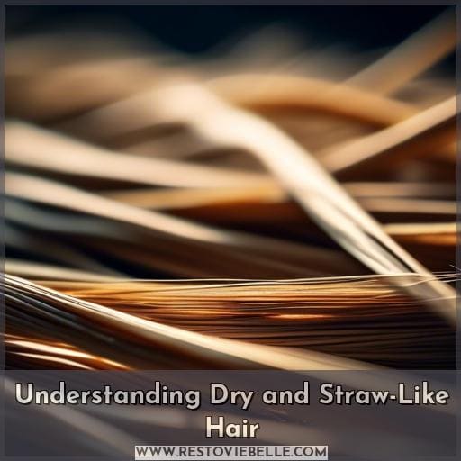 Understanding Dry and Straw-Like Hair Understanding Dry and Straw-Like Hair