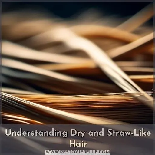 Understanding Dry and Straw-Like Hair