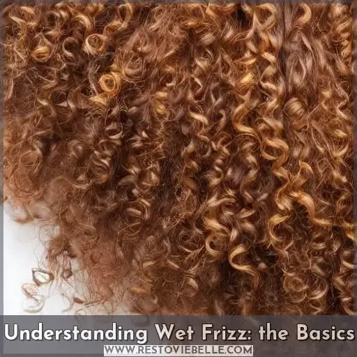 Understanding Wet Frizz: the Basics