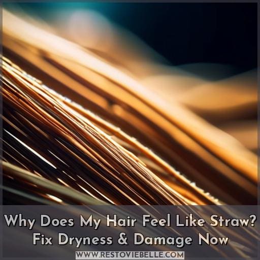 why does my hair feel like straw why does my hair feel like straw