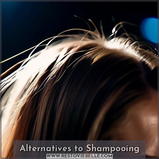 Alternatives to Shampooing