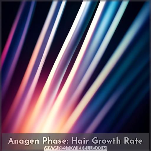 Anagen Phase: Hair Growth Rate