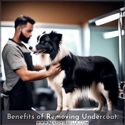 Benefits of Removing Undercoat: