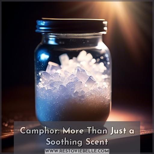 Camphor: More Than Just a Soothing Scent
