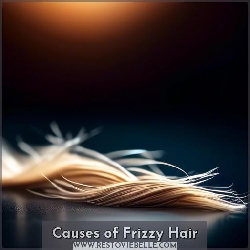 Causes of Frizzy Hair Causes of Frizzy Hair