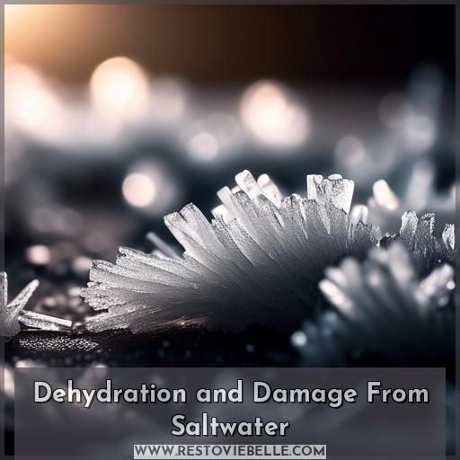 Dehydration and Damage From Saltwater