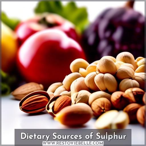 Dietary Sources of Sulphur Dietary Sources of Sulphur