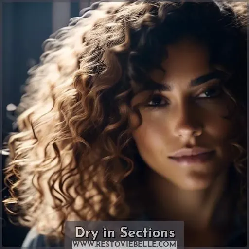 Dry in Sections