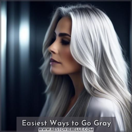 Easiest Ways to Go Gray