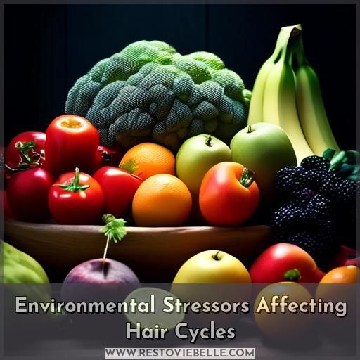 Environmental Stressors Affecting Hair Cycles