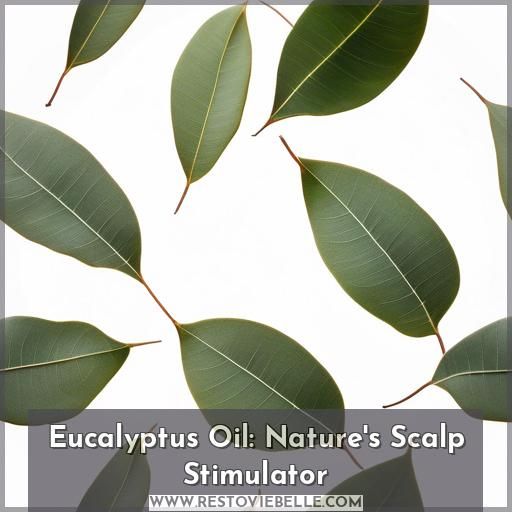 Eucalyptus Oil: Nature