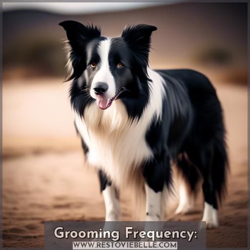 Grooming Frequency: