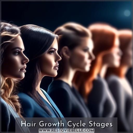 Hair Growth Cycle Stages