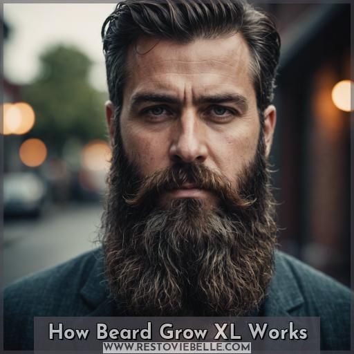 How Beard Grow XL Works