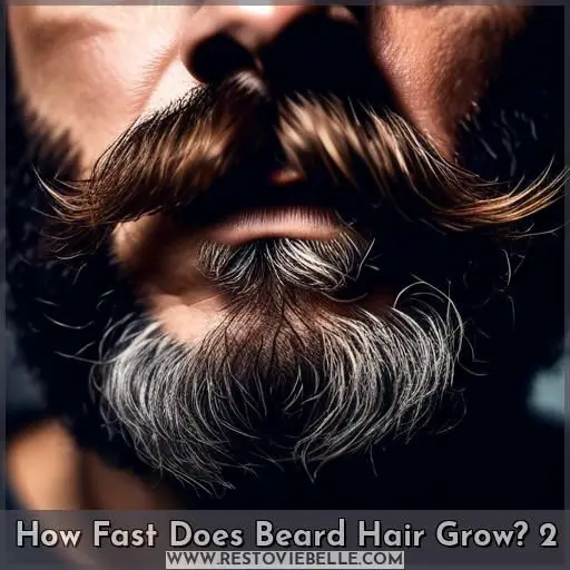 How Fast Does Beard Hair Grow 2