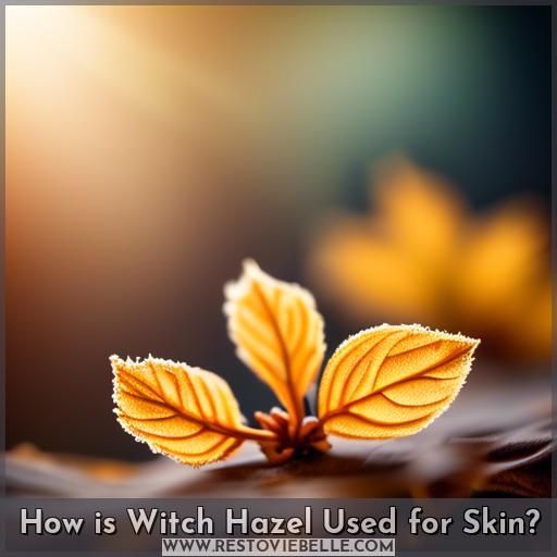 How is Witch Hazel Used for Skin