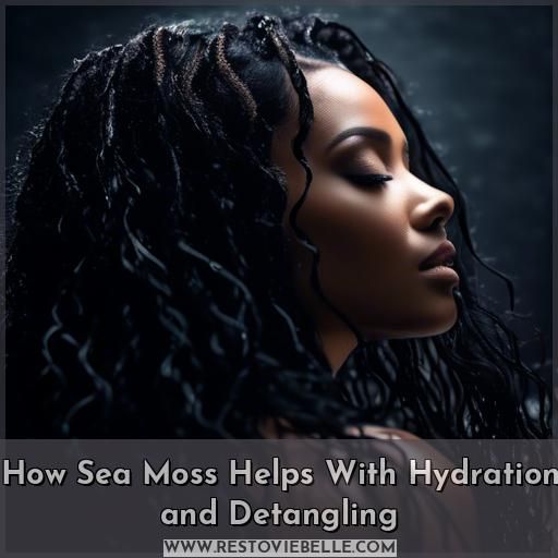 How Sea Moss Helps With Hydration and Detangling