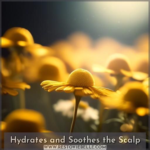 Hydrates and Soothes the Scalp Hydrates and Soothes the Scalp