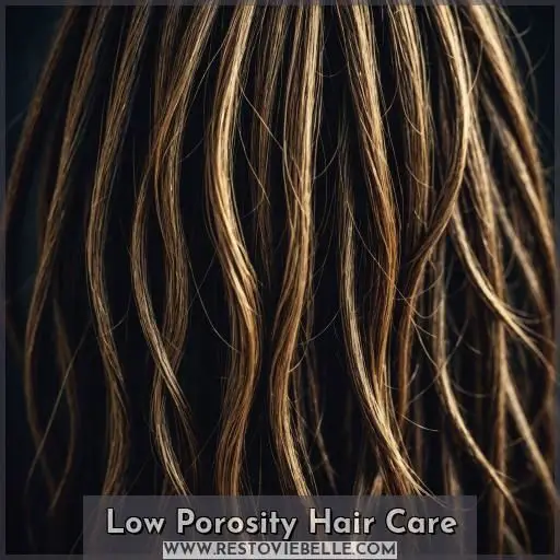 Low Porosity Hair Care