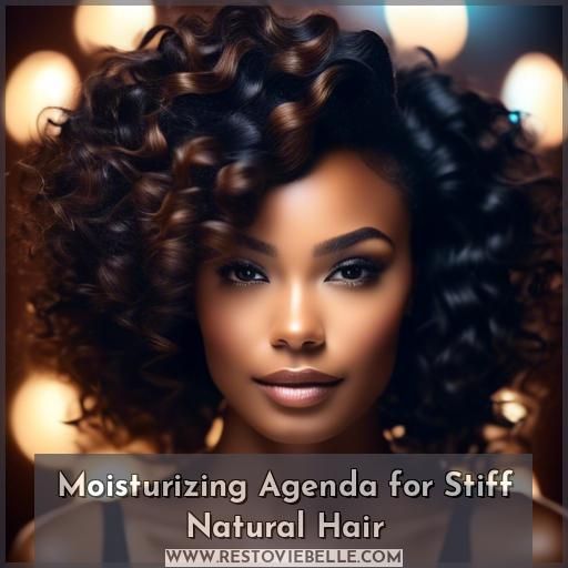 Moisturizing Agenda for Stiff Natural Hair