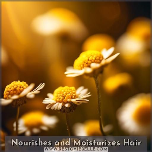 Nourishes and Moisturizes Hair