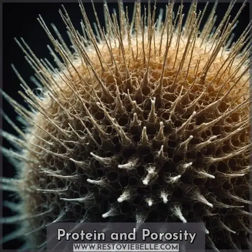 Protein and Porosity