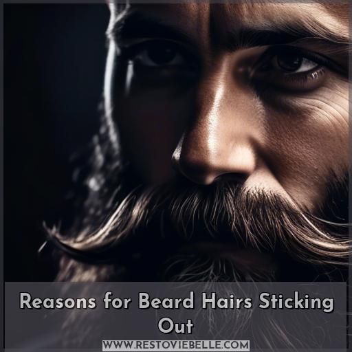 Reasons for Beard Hairs Sticking Out