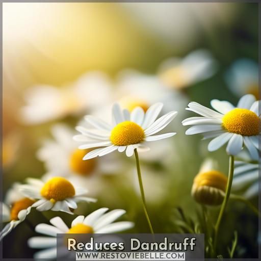 Reduces Dandruff Reduces Dandruff