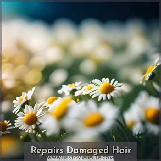 Repairs Damaged Hair