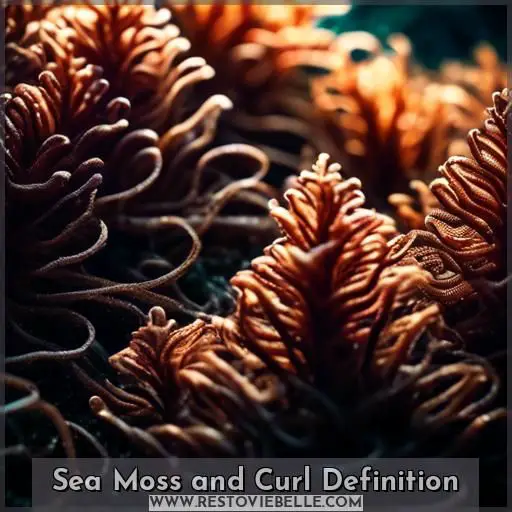 Sea Moss and Curl Definition