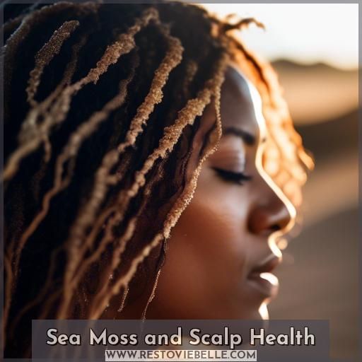 Sea Moss and Scalp Health